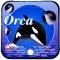 ORCA - MEGA MARBLES - MEGA MARBLES OLD 24+1 (2003) (FACE)
